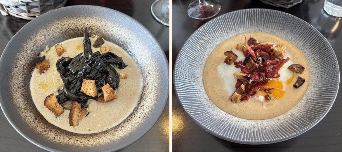 C.A.N.A. - Gallery Image 2